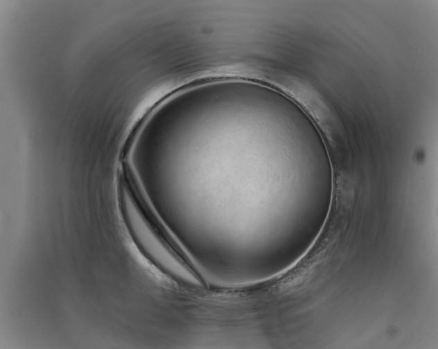 X0000091560998200708171322