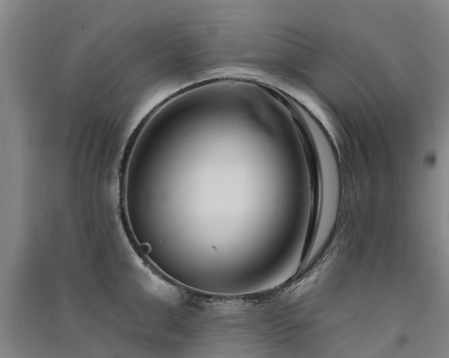 X0000091560999200708171322