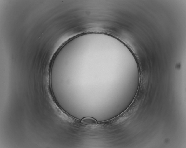 X0000091561000200708171322