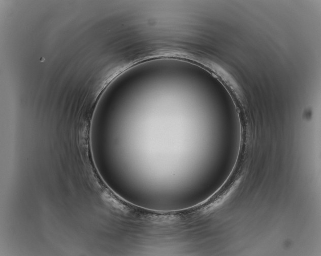 X0000091561001200708171322