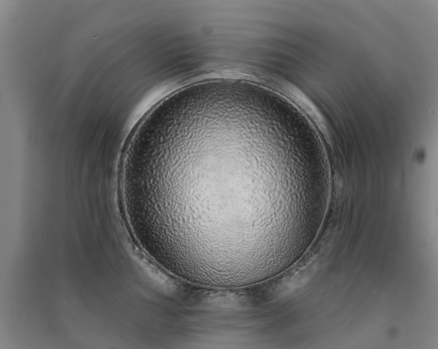 X0000091561002200708171322