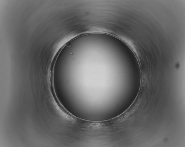 X0000091561003200708171322