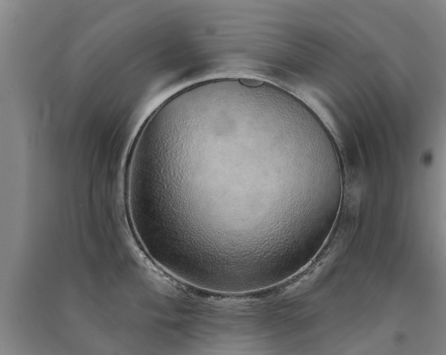 X0000091561004200708171322