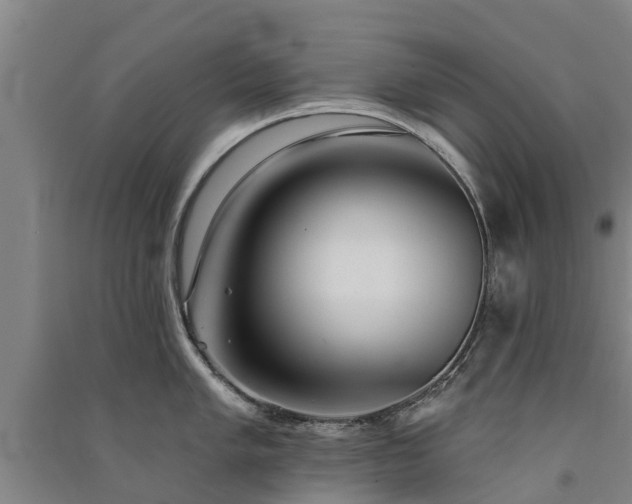 X0000091561005200708171322