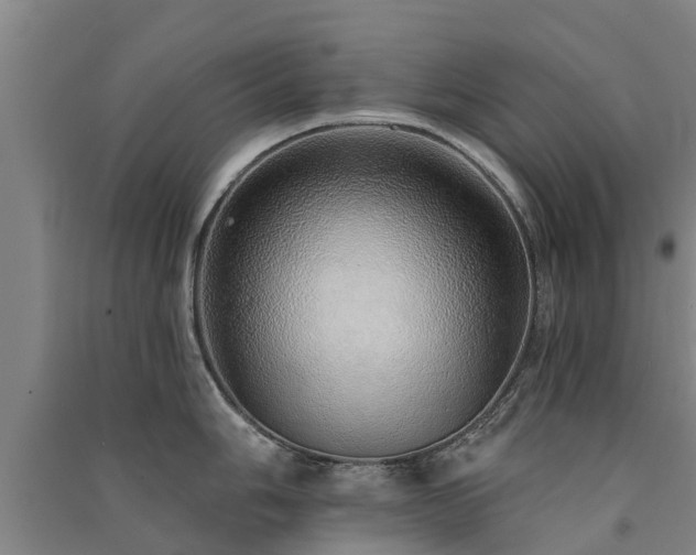 X0000091561006200708171322