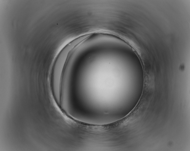 X0000091561007200708171322