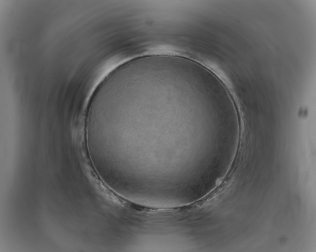 X0000091561008200708171322