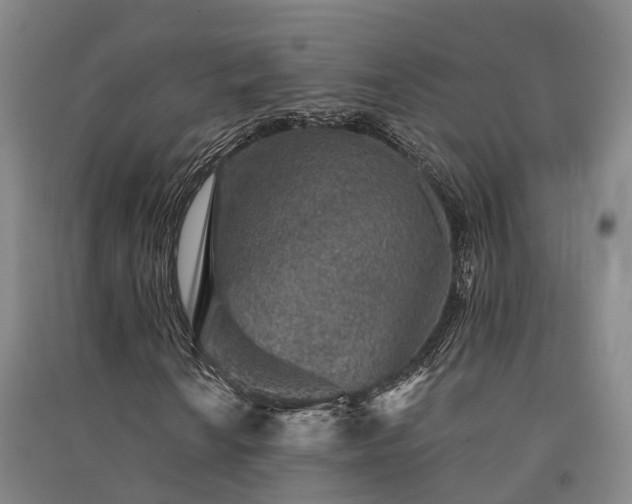 X0000091561010200708171321