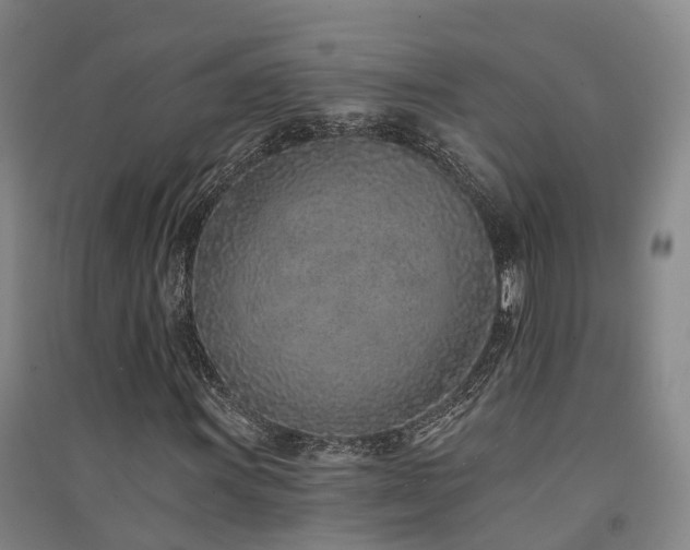 X0000091561011200708171321