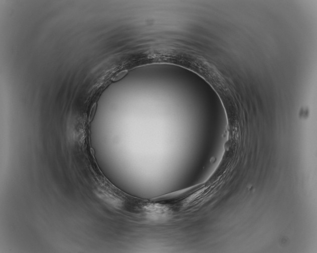 X0000091561012200708171321