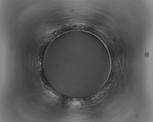 X0000091561013200708171321