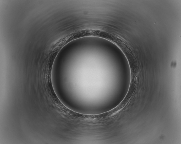 X0000091561014200708171321