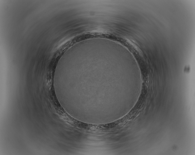 X0000091561015200708171321