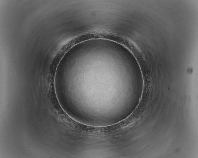 X0000091561016200708171321