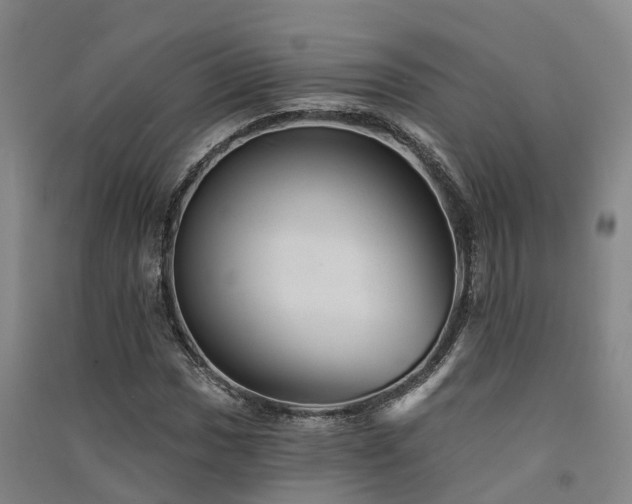 X0000091561017200708171321