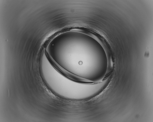 X0000091561018200708171321