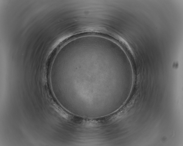 X0000091561019200708171321