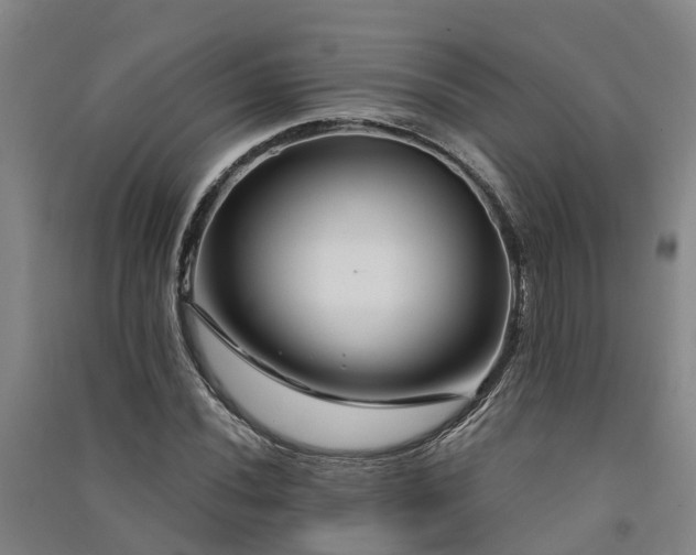 X0000091561020200708171321