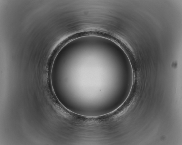 X0000091561021200708171321