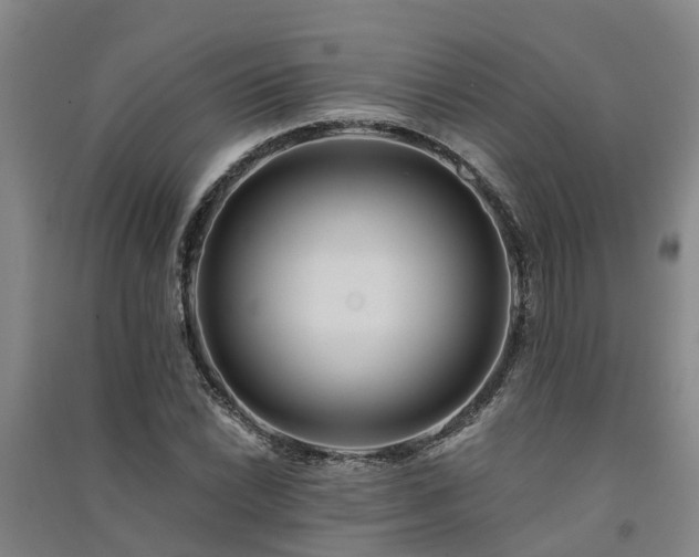 X0000091561022200708171321