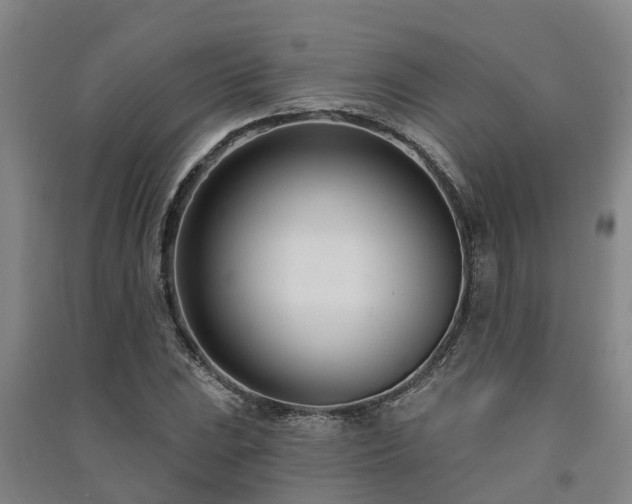 X0000091561023200708171321