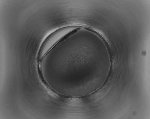 X0000091561024200708171321