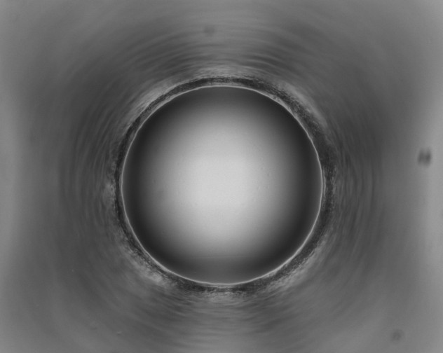 X0000091561025200708171321