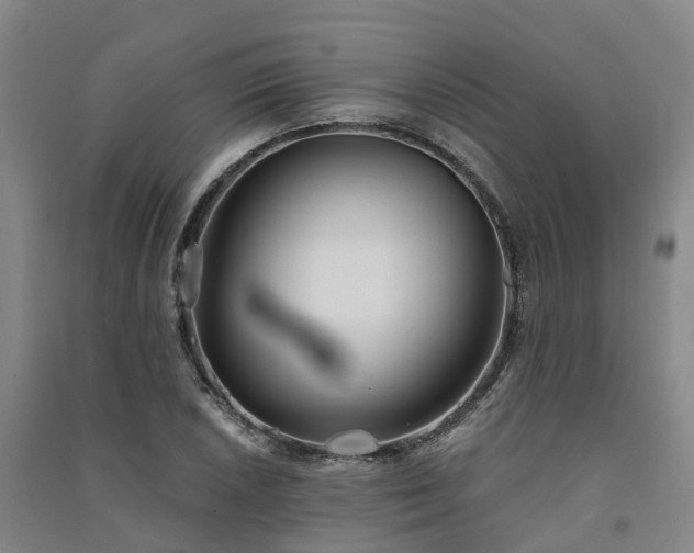 X0000091561026200708171321