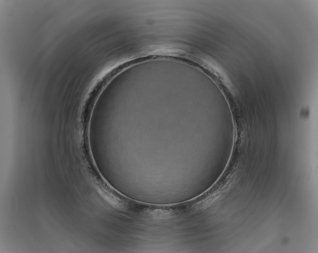 X0000091561027200708171321