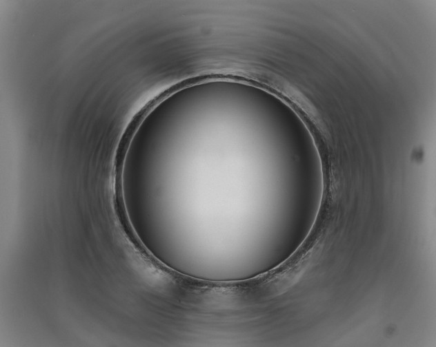 X0000091561028200708171321