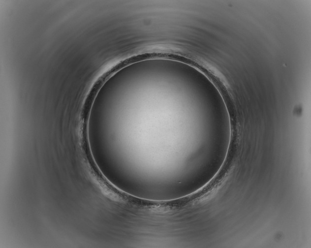 X0000091561029200708171321