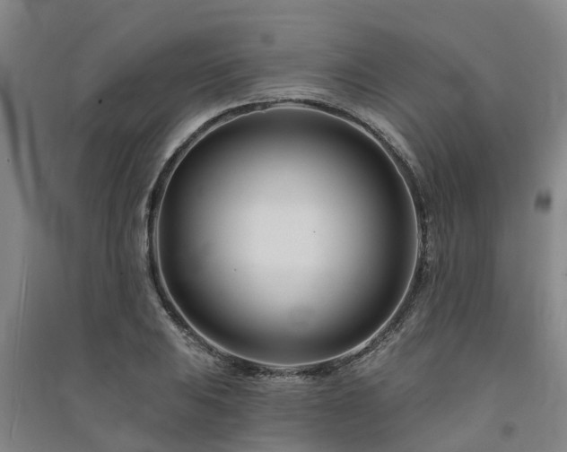 X0000091561031200708171321