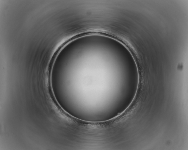 X0000091561032200708171321