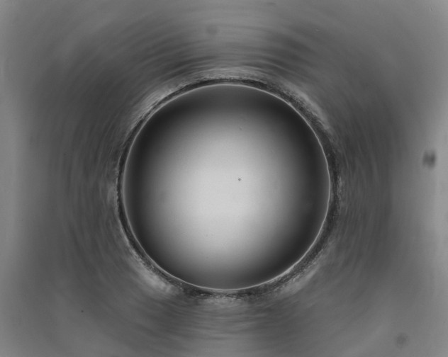 X0000091561033200708171321