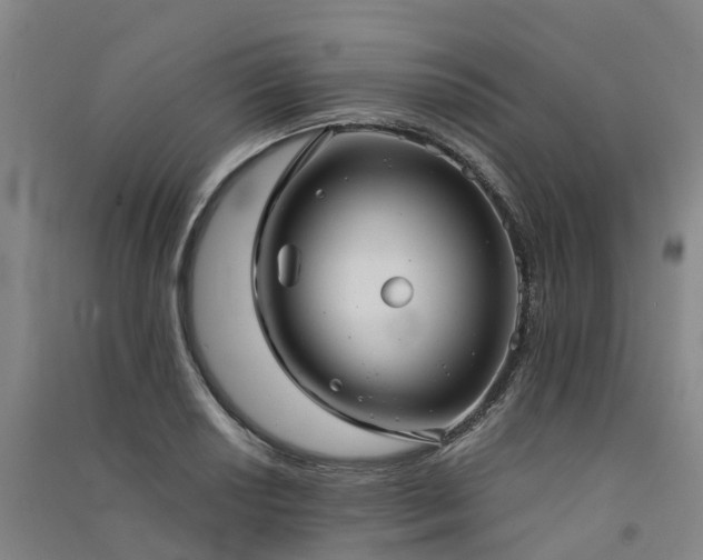 X0000091561034200708171321