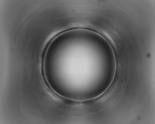 X0000091561035200708171321