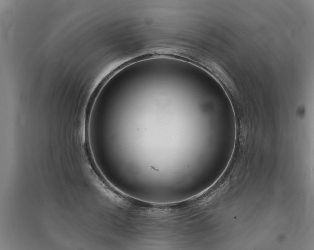 X0000091561036200708171321