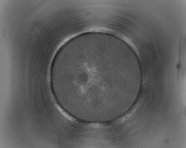 X0000091561037200708171321