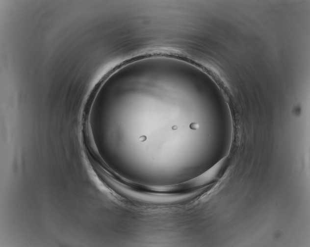 X0000091561038200708171321