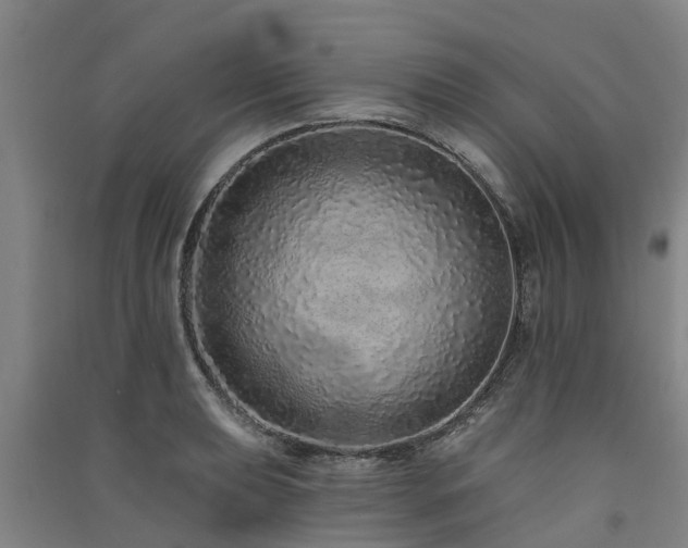 X0000091561039200708171321