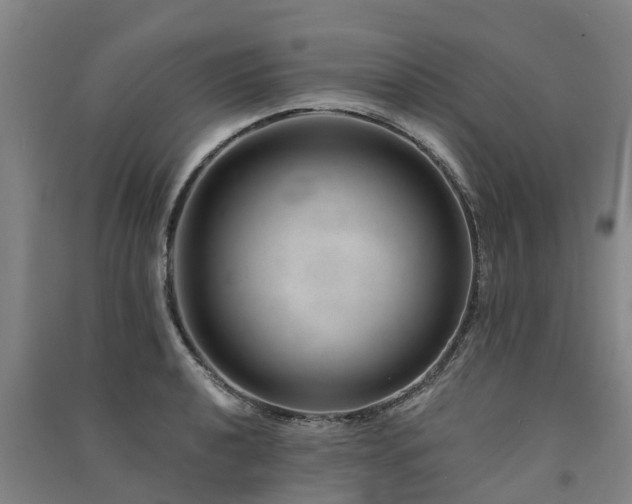 X0000091561040200708171321