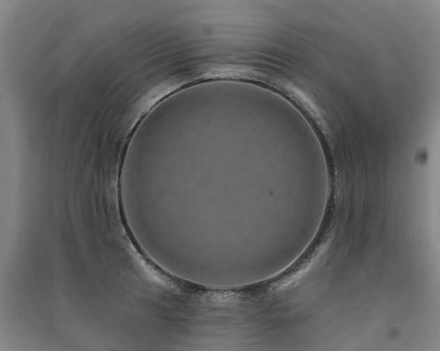 X0000091561041200708171321