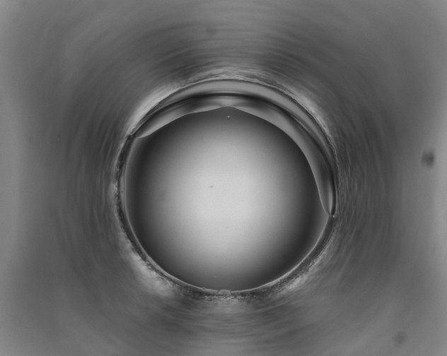 X0000091561042200708171321