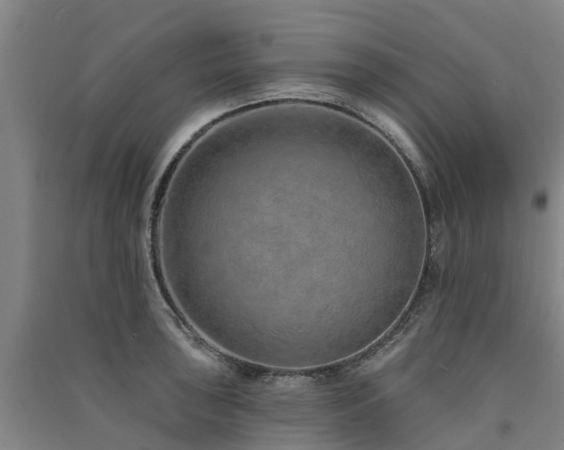 X0000091561043200708171321