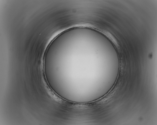 X0000091561044200708171321