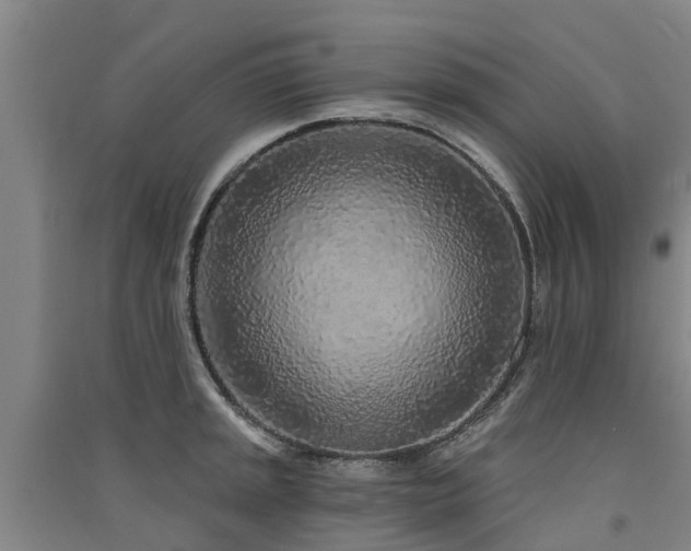 X0000091561045200708171321