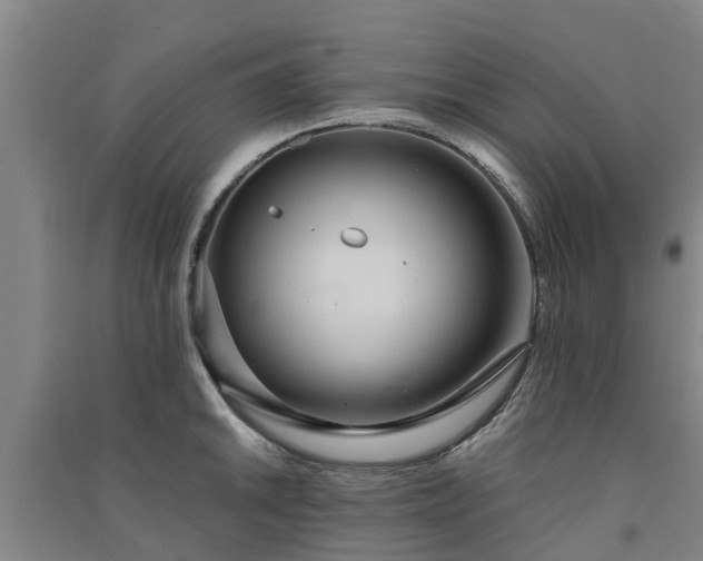 X0000091561046200708171321