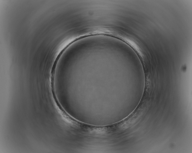 X0000091561047200708171321