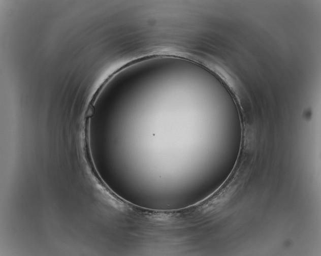 X0000091561048200708171321