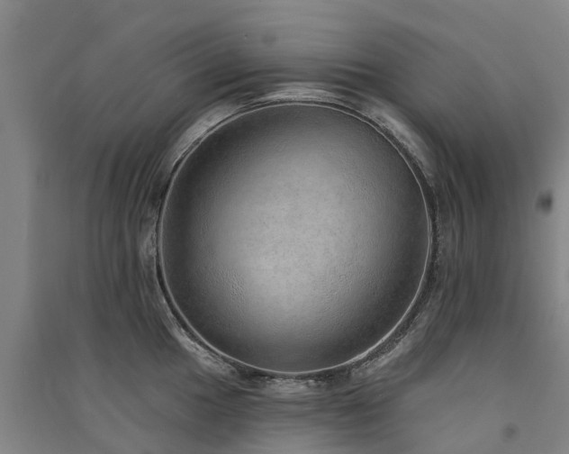 X0000091561049200708171321